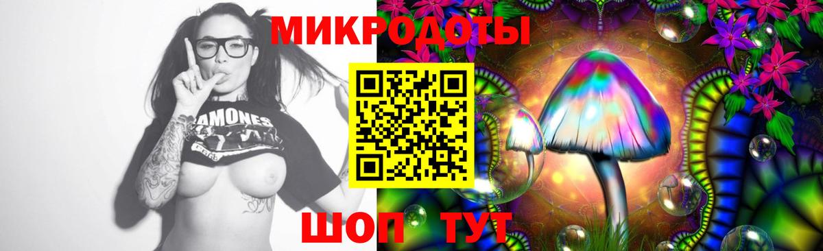 Псилоцибиновые грибы Psilocybe  Вход с VPN  купить закладку  Магнитогорск  Галлюциногенные грибы ЛСД 